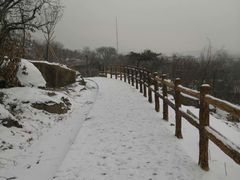 -白水寺森林公园