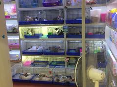 店内环境-宝鸡东道花鸟鱼虫市场(吉利花园商场店)