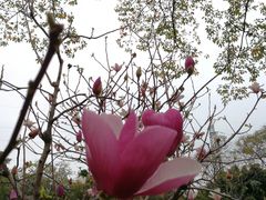 -晓港公园