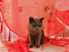 -第三空间·趣味桌游·轰趴.室内CS.剧本杀(大武汉1911店)