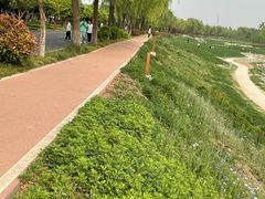 -洨河生态公园