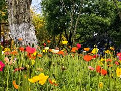 -铁山坪森林公园