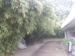 景点-上海市龙华烈士陵园