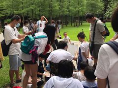 -晓港公园