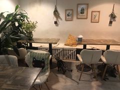 -小时光咖啡馆(北锣鼓巷店)