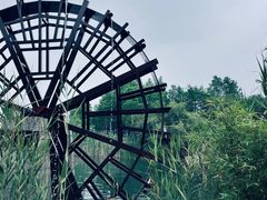 -洋湖国家湿地公园