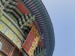 -铁山坪森林公园