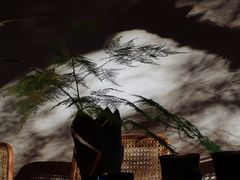 -物心空间