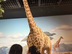 -陕西自然博物馆