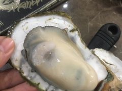 -蚝专家(北滘店)