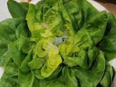 绿奶油生菜-九孔·筒骨莲藕汤锅(大明宫万达店)