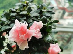 -北海银滩一号国际会议中心酒店