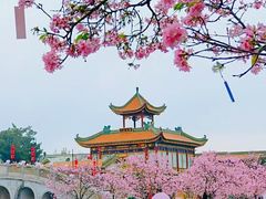 -宝墨园景区