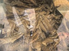-张记卤菜店(三条巷店)