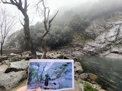 -百杖潭景区