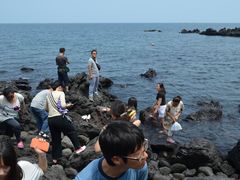 -龙头岩(Dragon Head Rock)