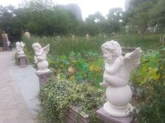 android_upload_pic-白塘生态植物园