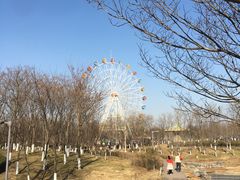-西安浐灞国家湿地公园