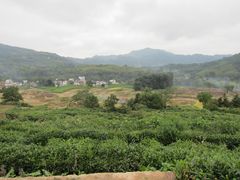 -塔川景区
