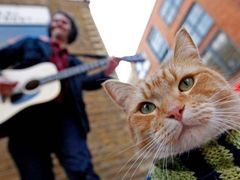 -保利国际影城(万家邻里店)