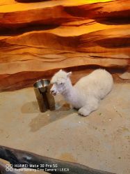 -酷嗒动物文化乐园(cutezoo西溪乐天城店)