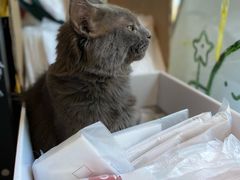 -平行世界·猫咖(首经贸店)