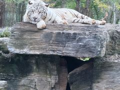 -秦皇岛野生动物园