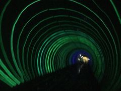 -东方明珠国际旅行社有限公司