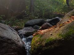 -云岫谷游猎自然风景区