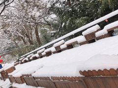-丽泽山庄·生态怀柔菜·虹鳟鱼(红螺寺店)