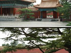 -北京市劳动人民文化宫