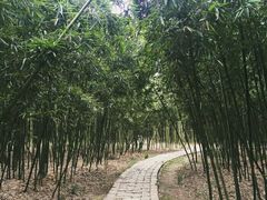 -同里国家湿地公园