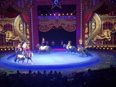 -珠海横琴长隆《卡卡虎奇遇记》