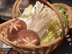 -同仁四季椰子鸡(宝安壹方城店)