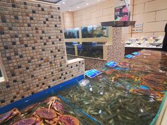 水产区-双井轩(双井店)