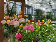 -北马山庄植趣咖啡