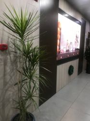 -北京炫美医疗美容