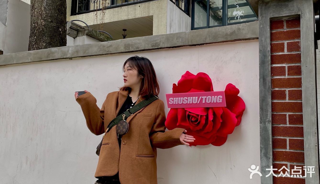 SHUSHUTONG蕾虎快闪💜超好拍