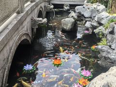 -西林禅寺