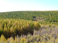 -塞罕坝国家级自然保护区