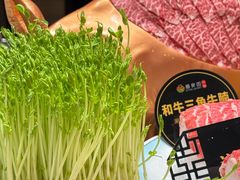 -番食园鲜食火锅(高新店)