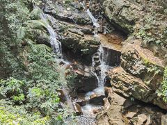 -鼎湖山风景区