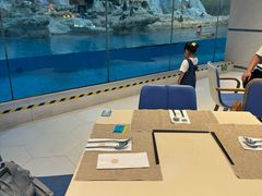 -帝企鹅自助餐厅•儿童岛•真企鹅(长隆企鹅酒店)