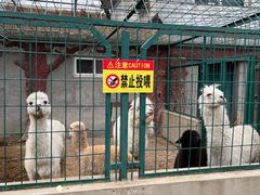 -保定市动物园