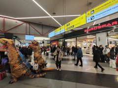 -谢列梅捷沃国际机场