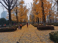 -两江幸福广场