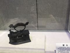 -陕西自然博物馆