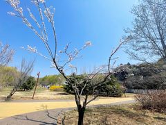 -北京金海湖景区