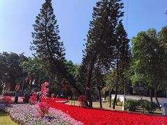 -荔湾湖公园