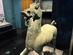 -广西壮族自治区博物馆